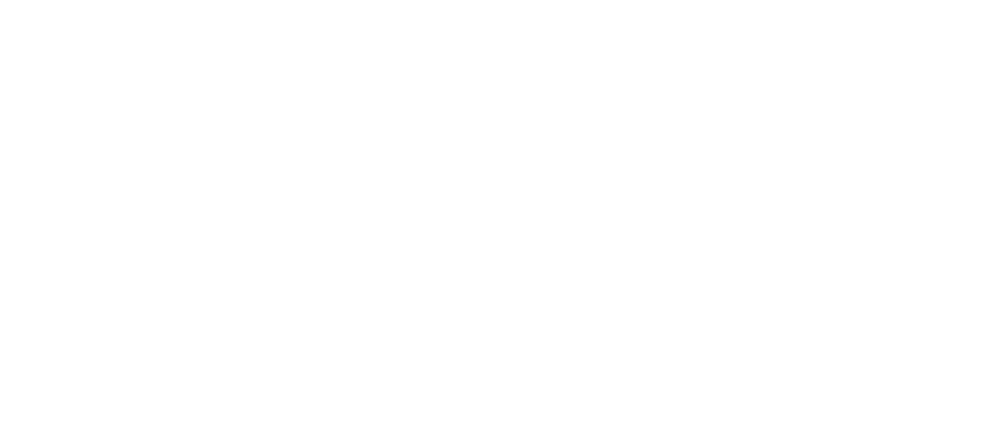 Logo NHC Casino VERT_RGB-02